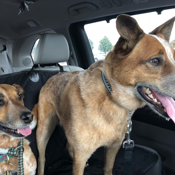 Meet your Posher, Jordan - Picture 2 of 2